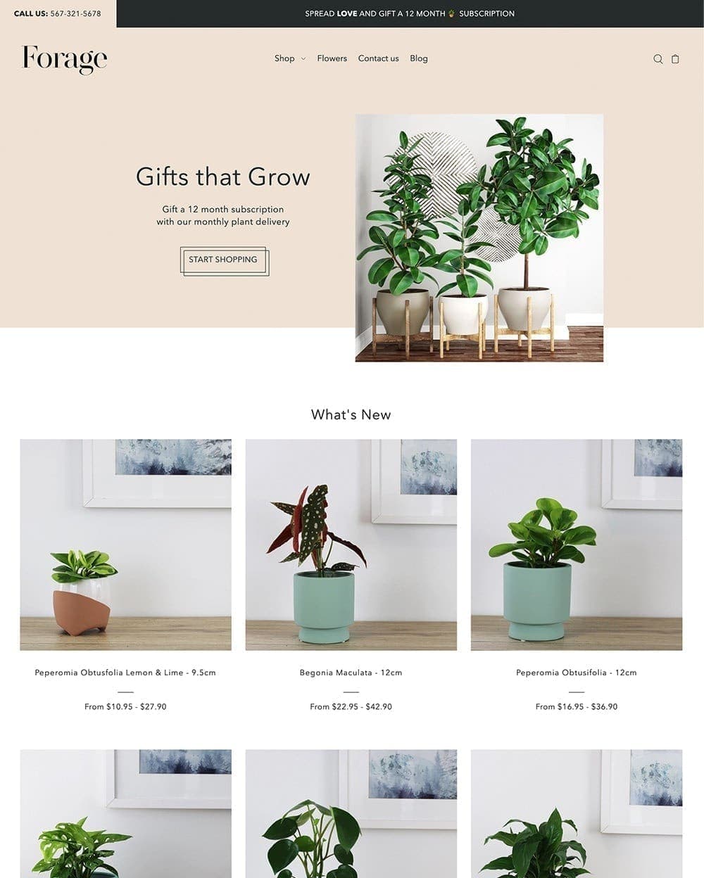 Foodie Grow preset